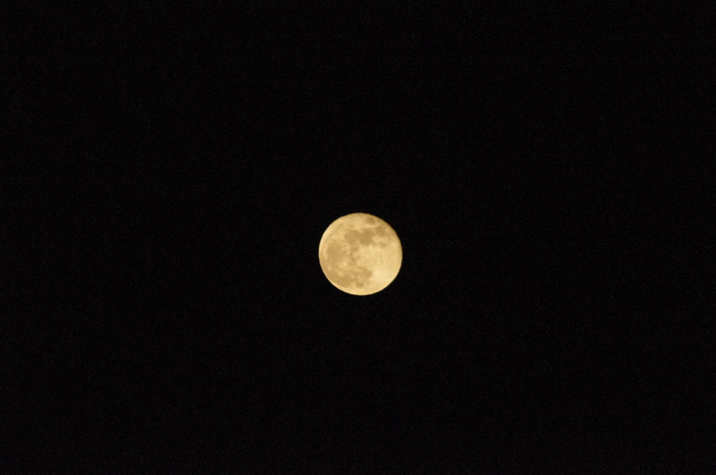 2011.5.18