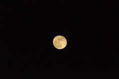 2011.5.18