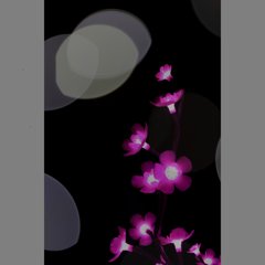 ドリミネーション　冬の夜桜