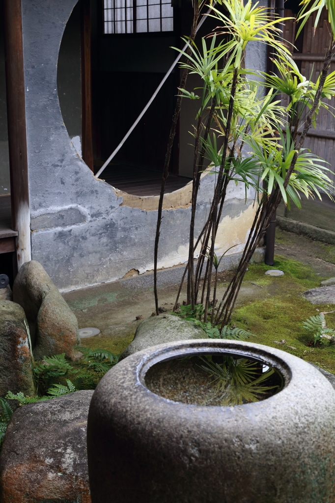 裏庭の情景