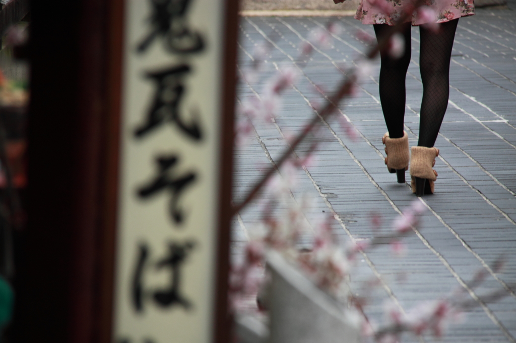 花より、、