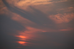 IMG_1935