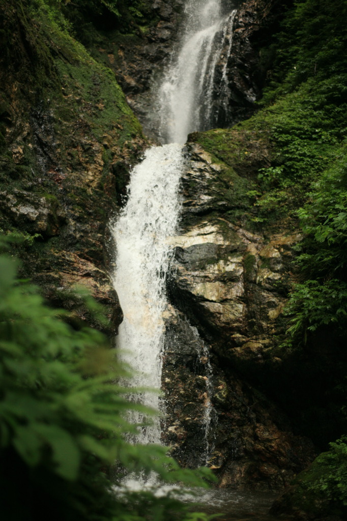 養老の滝