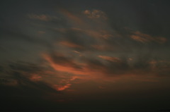 IMG_1946