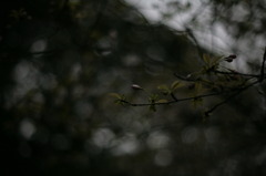 IMG_1640