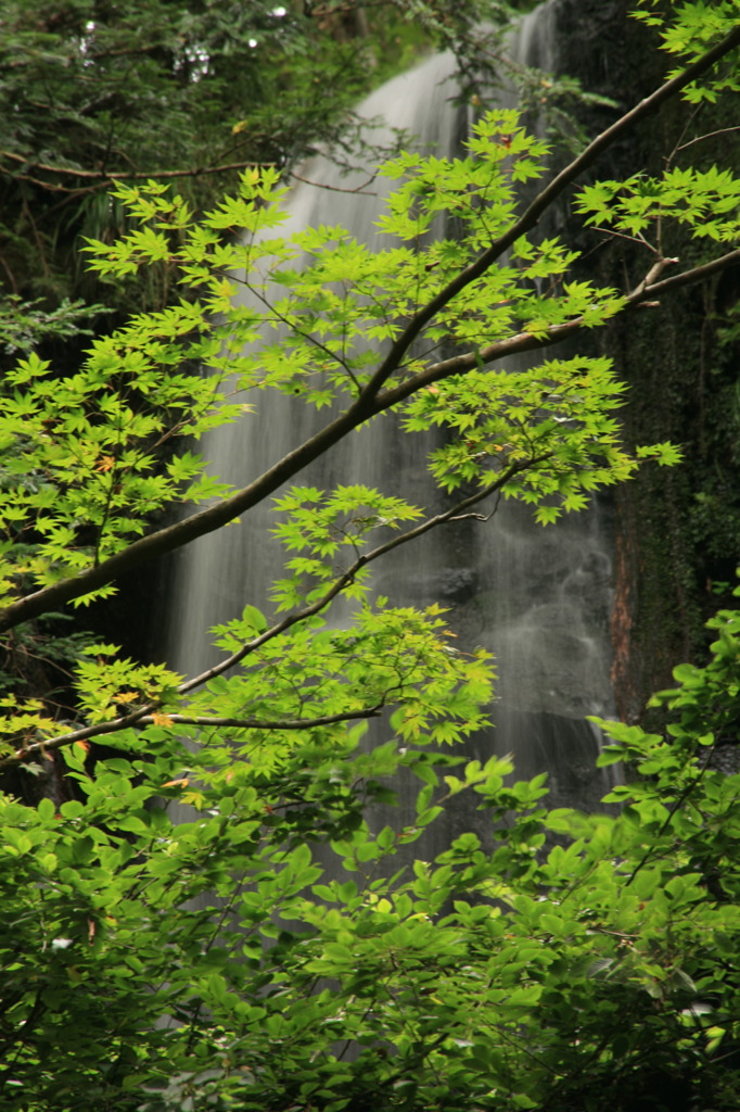 IMG_2011