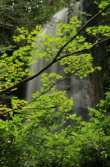 IMG_2011