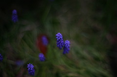 IMG_1653