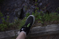ついてきちゃった