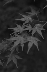 公渕公園　４