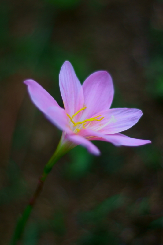 散歩　５