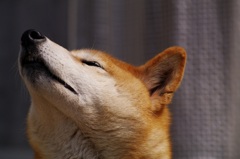 暇な瞬間