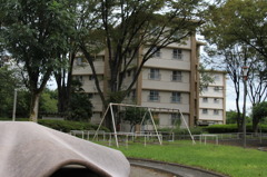 くらげ公園