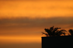 City sunset roof top