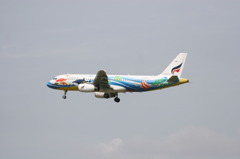 Air plane (BK Airways) 1
