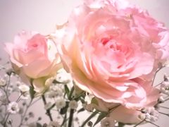 Mother's Day
