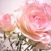 Mother's Day