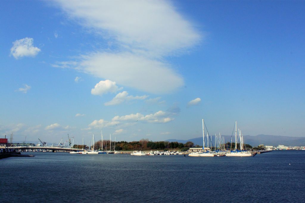 函館　海
