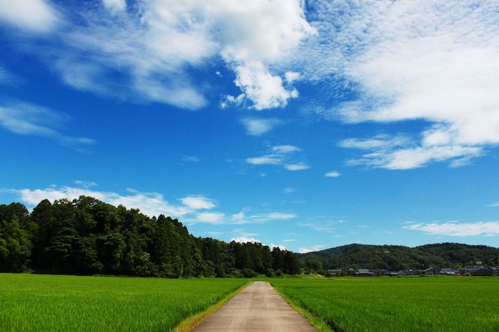 道