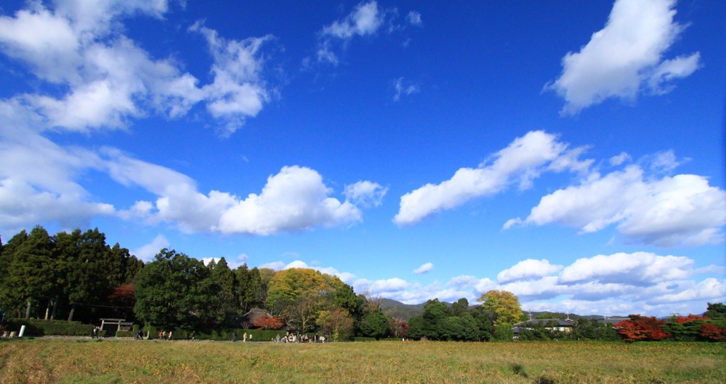 京都嵐山のソラ