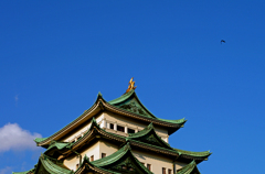 金鯱