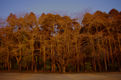 夕照