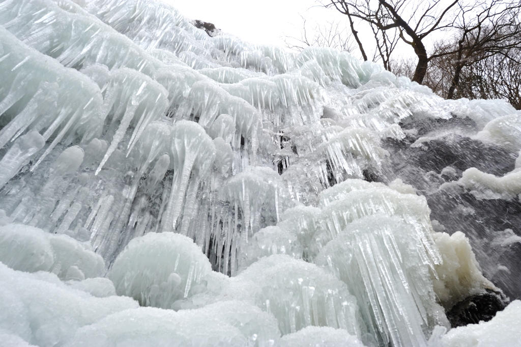 氷の世界