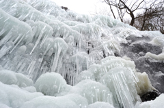 氷の世界