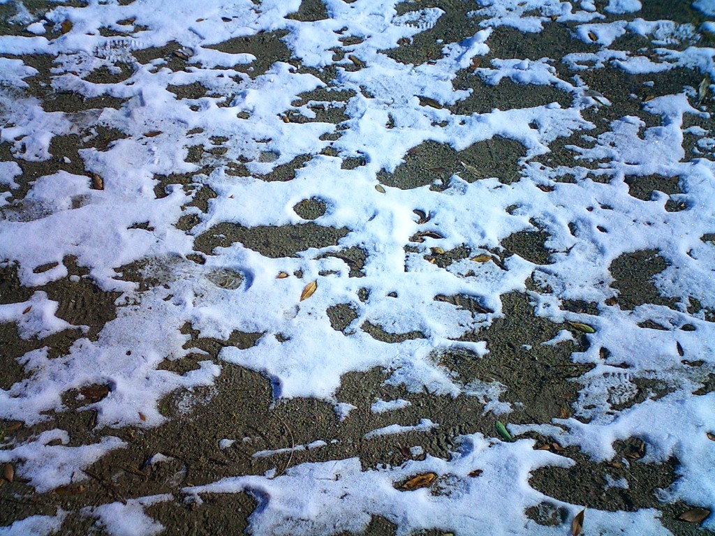正午前
