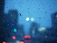 台風の こんな顔。