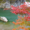 もみじto川to岩