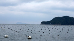 宇和海－真珠養殖