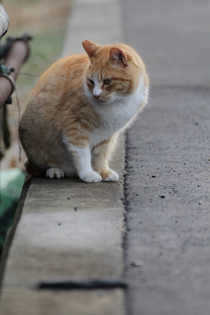 そっち　あったかい？