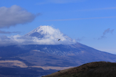 富士山見えた～