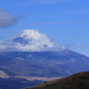 富士山見えた～