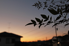 日常の朝