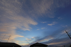 朝雲