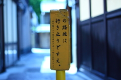 no.50