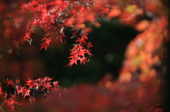 九年庵