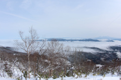 雪原