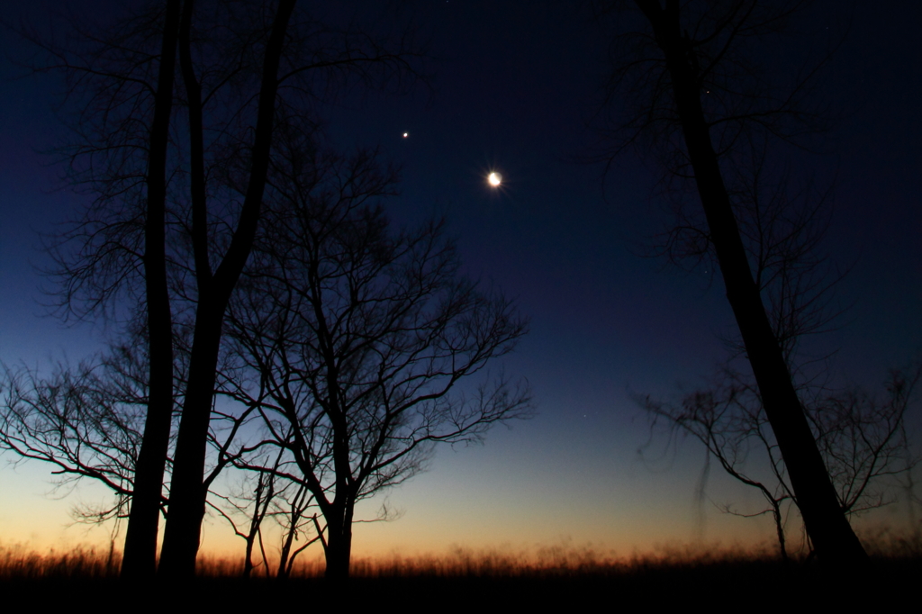 Luna & Venus