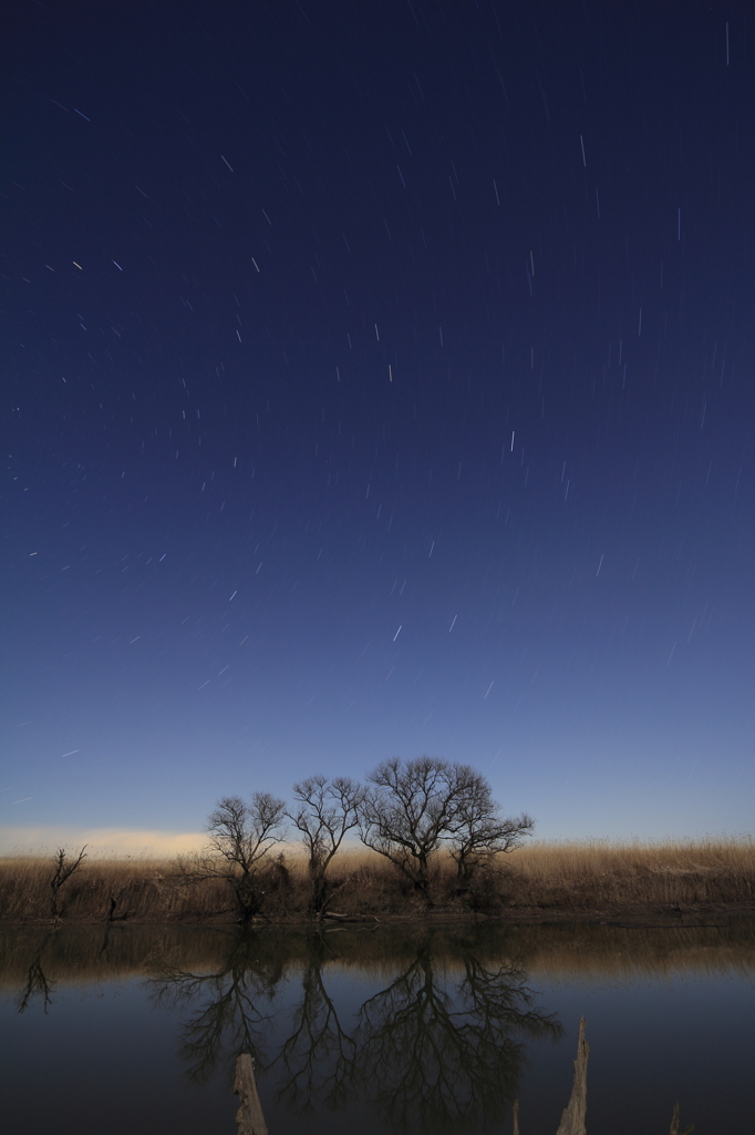 降りそそぐように