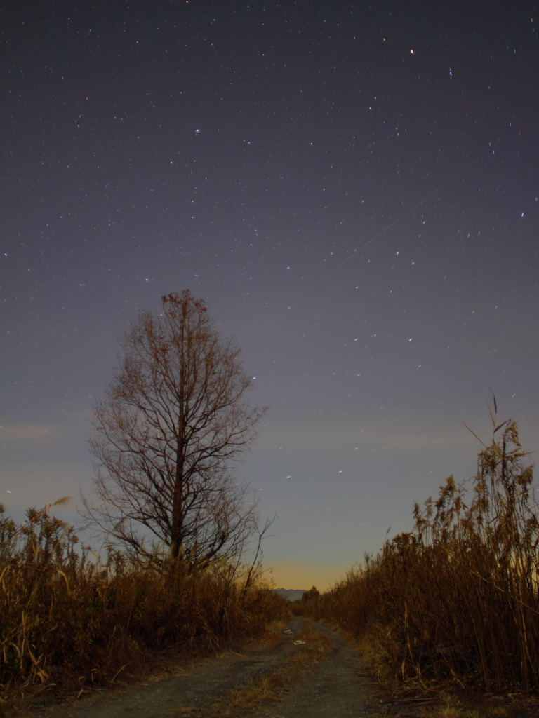 星空に続く道