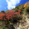 崖と紅葉