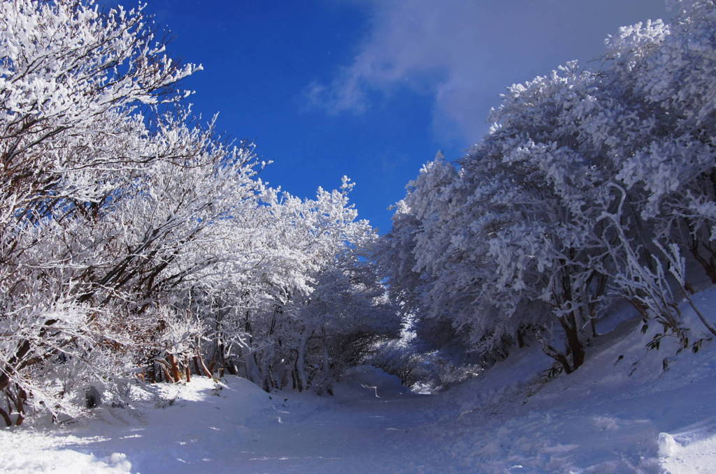 ようこそ雪の世界へ