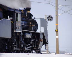 雪でいつもより黒光り