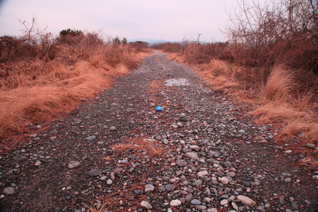 小ｼﾞｬﾘ道