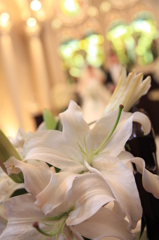 百合の花