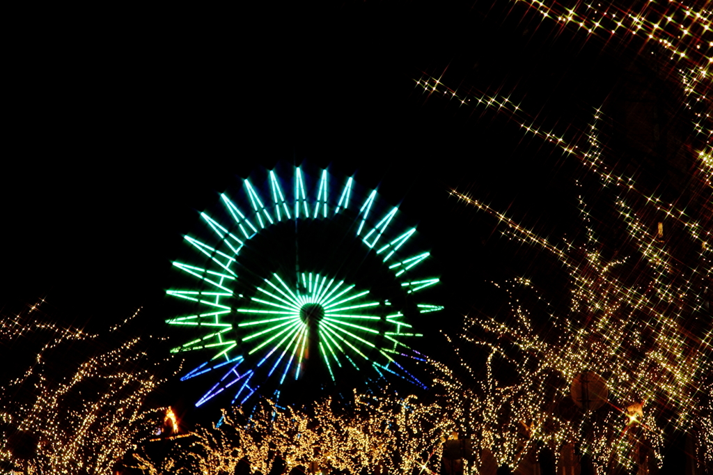 夜空に泳ぐイルカ