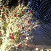 メリークリスマス♪